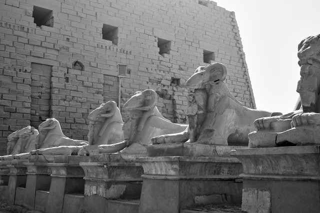  DSC 4016-optimised.jpg