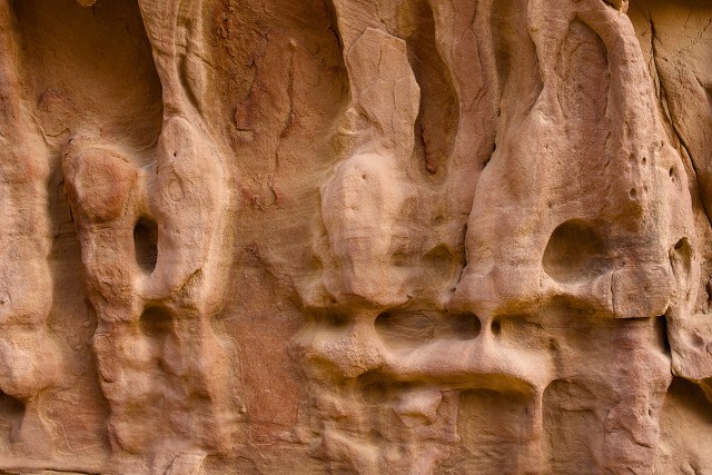  DSC 4218-optimised.jpg