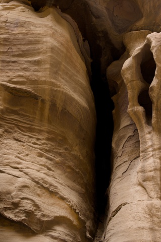  DSC 4333-optimised.jpg